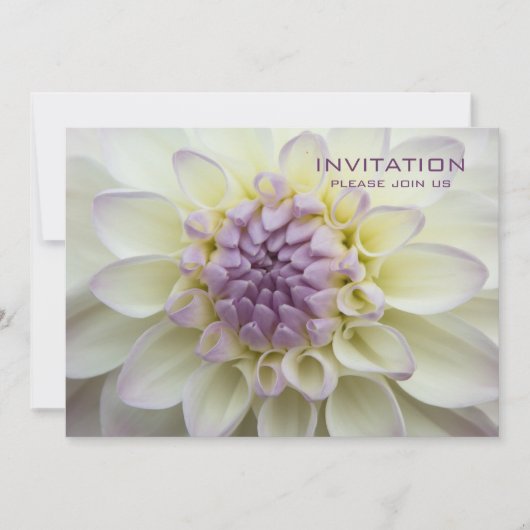 パープルダリア·リハーサルディナー招待状 招待状 (正面)