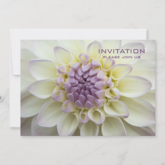 パープルダリア·リハーサルディナー招待状 招待状