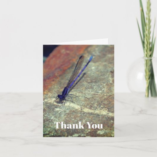 パープルダンセルフライ自然サンキューカード サンキューカード (正面)