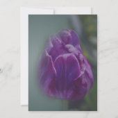 パープルチューリップの花のParty 招待状 (裏面)