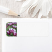 パープルチューリップ、春住所 シール (インサイチュ)