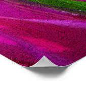 パープルチューリップinケウケンホフ，オランダプリント ポスター (角)