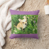 パープルチワワ装飾用クッション。 クッション (ブランケット)