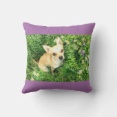 パープルチワワ装飾用クッション。 クッション (裏面)