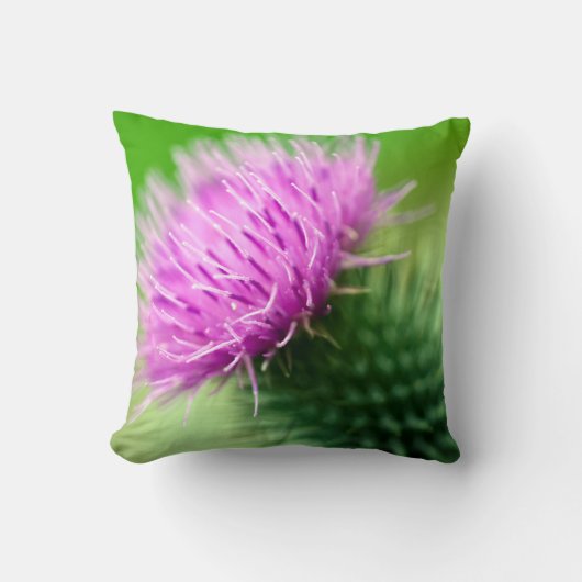 パープルティスル装飾用クッション クッション (正面)