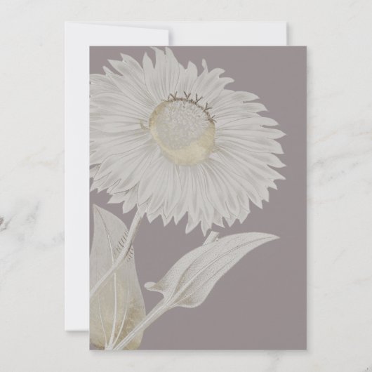 パープルデイジーアンティークブライダルシャワー招待 招待状 (裏面)