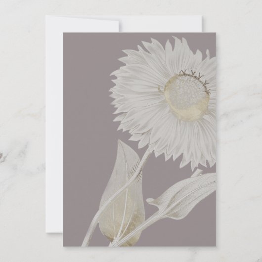 パープルデイジーアンティークリハーサルディナー招待状 招待状 (裏面)