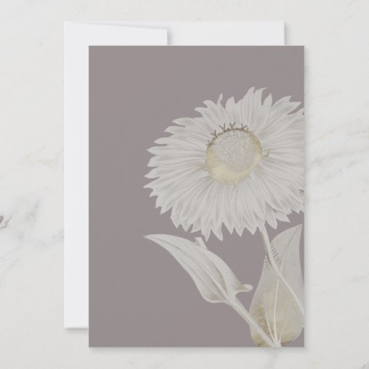 パープルデイジーアンティーク結婚式招待状 招待状 (裏面)