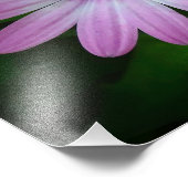 パープルデイジーフォトワラール フォトプリント            (角)