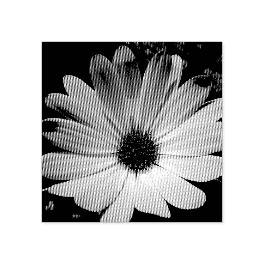 パープルデイジーフラワーウッドアートスタンプ ラバースタンプ (インプリント)