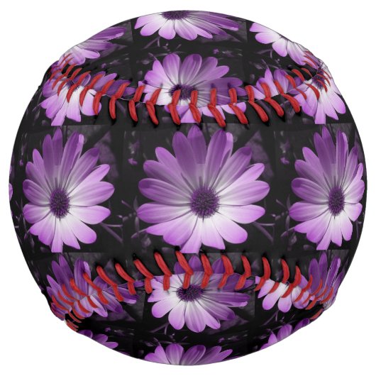 パープルデイジーフラワーソフトボール ソフトボール (正面)