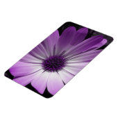 パープルデイジーフラワープレミアムマグネット マグネット (左側)