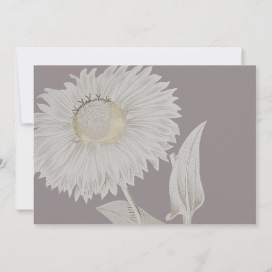 パープルデイジー結婚アンティークの予約記号 (裏面)