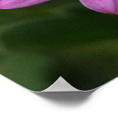 パープルデイジー ポスター (角)