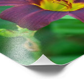 パープルデイリーフォトプリント フォトプリント            (角)