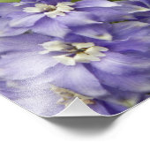 パープルデルフィニウム開花フローラ フォトプリント            (角)