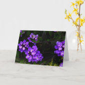 パープルトレーリングランタナ#1カード カード (黄色い花)