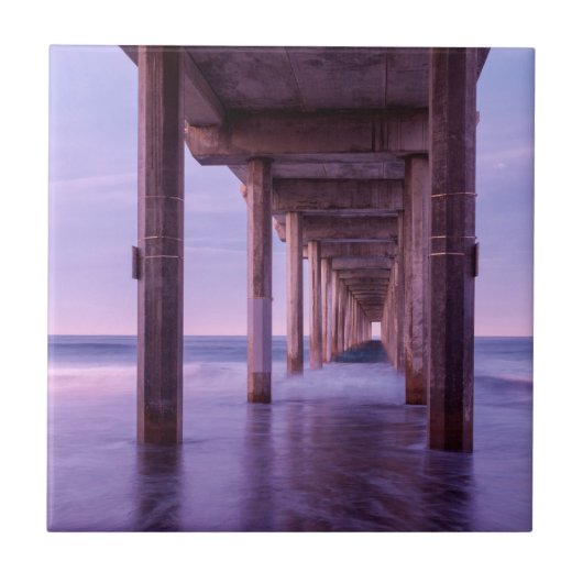 パープルドーンアットスクリプスピア タイル (正面)