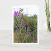 パープルバイパーズバグロス, エキウム・プラント カード (正面)