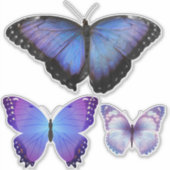 パープルバタフライコレクションビニールステッカー シール (正面)