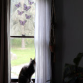 パープルバタフライバイオレット自然愛好家 ウィンドウサイン