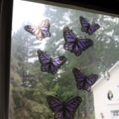 パープルバタフライバイオレット自然愛好家 ウィンドウサイン