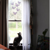 パープルバタフライバイオレット自然愛好家 ウィンドウサイン