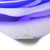 パープルバラカスタマイズバックグラベンダー空白の ポスター (角)