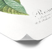 パープルバラローザガリカピエールジョセフレドゥテ ポスター (角)