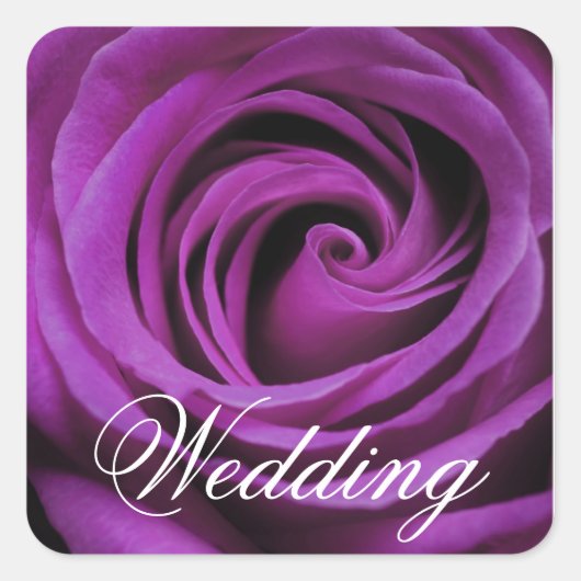 パープルバラ結婚ズスクエアステッカー スクエアシール (正面)