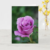 パープルバラ カード (黄色い花)
