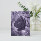 パープルバラ ポストカード (スタンド正面)