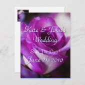 パープルバラ 案内ポストカード (正面/裏面)