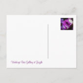 パープルバラ 案内ポストカード (裏面)