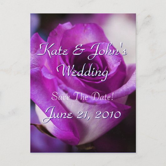 パープルバラ 案内ポストカード (正面)