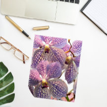 パープルバンダオーキズフローラ