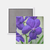 パープルバンダオーランズビュー冷蔵庫用マグネット マグネット (正面/裏面)