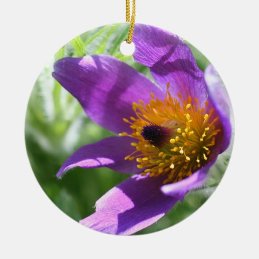 パープルパスクマクロフラワーオーナメント セラミックオーナメント (正面)