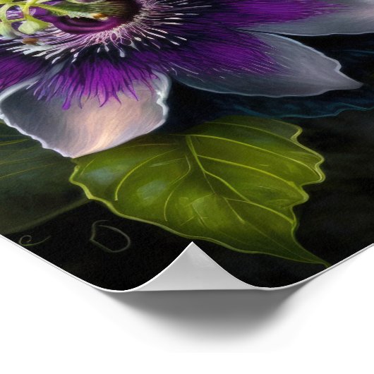 パープルパッションフラワーアートプリントポスター ポスター (角)