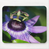 パープルパッションフルーツマウスパッド マウスパッド (正面)