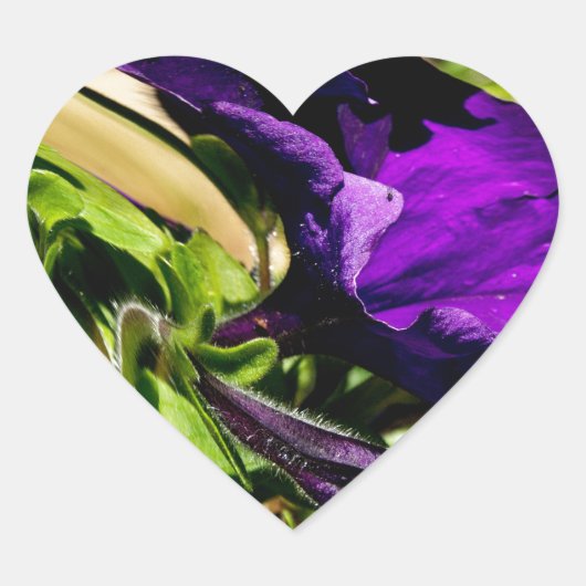 パープルパニック ハートシール (正面)