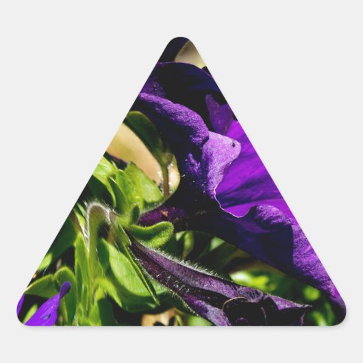 パープルパニック 三角形シール (正面)