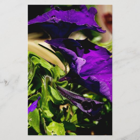 パープルパニック 便箋 (正面)