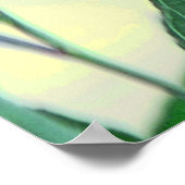 パープルパラダイス ポスター (角)