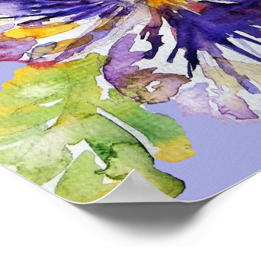 パープルパンシーのアートフローラ花水彩ポスター ポスター (角)