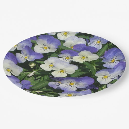 パープルパンシーズガーデンフローラ ペーパープレート (アングル)