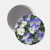 パープルパンシーズガーデンフローラ マグネット (正面/裏面)