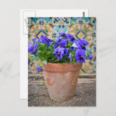 パープルパンシーズフラワーポット ポストカード (正面/裏面)