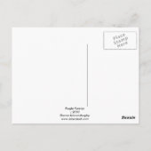 パープルパンシー ポストカード (裏面)