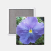 パープルパンシー マグネット (正面/裏面)